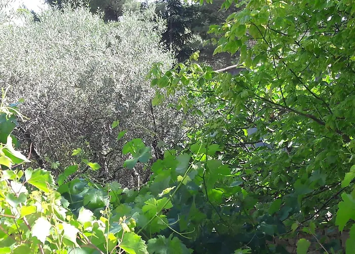 Bastide Sainte Agnès