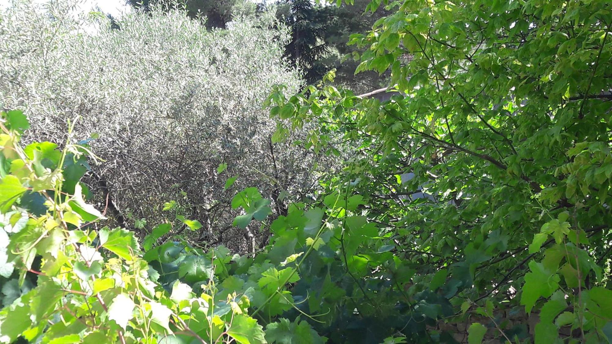 Bastide Sainte Agnès